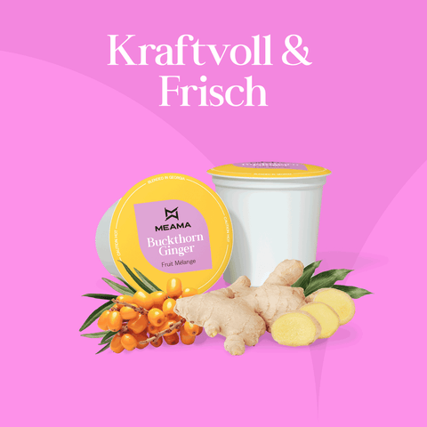 Meama Multi-Teekapseln Buckthorn Ginger mit Ingwer und Sanddorn